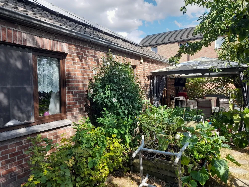 20260805_163605 copie